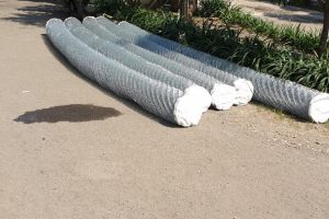 WhatsApp Image 2021-05-19 at 08.15.59