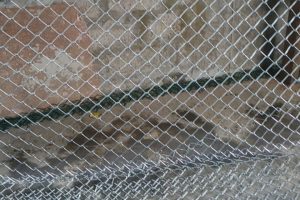 WhatsApp Image 2021-05-19 at 08.16.00