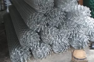 WhatsApp Image 2021-05-19 at 08.16.00(1)